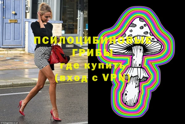 PSILOCYBIN Кинешма
