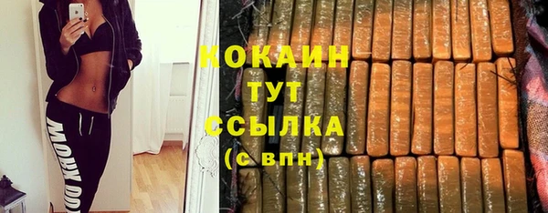 стаф Киренск