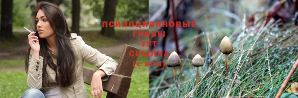 стаф Киренск