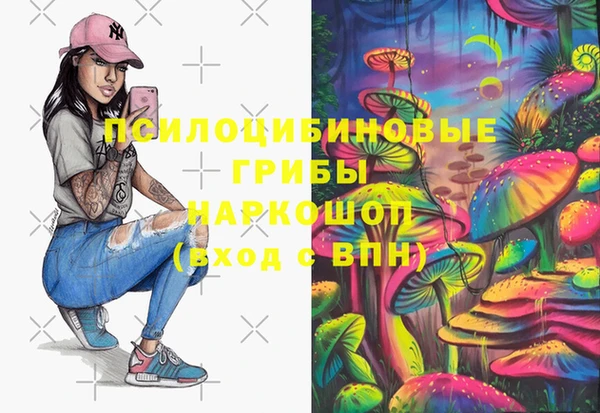 стаф Киренск