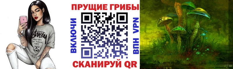 Псилоцибиновые грибы Psilocybe  Купить закладки  Лысьва 